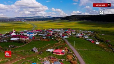 Ardahan’da doğa baharın gelmesiyle canlandı