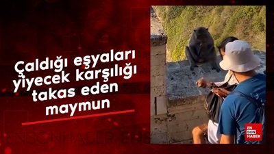 Çaldığı eşyaları yiyecek karşılığı takas eden maymun