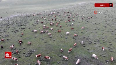 Kars’ta uzmanlardan kurban seçimi uyarısı