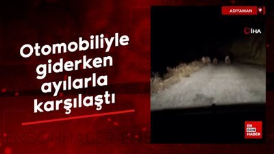 Adıyaman'da otomobiliyle giderken ayılarla karşılaştı