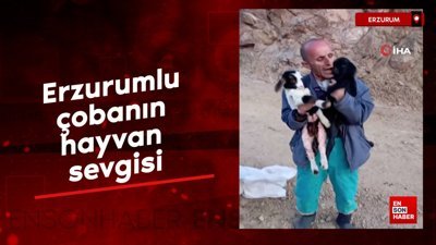 Erzurumlu çobanın hayvan sevgisi: Oğlakları öpücüğe boğdu