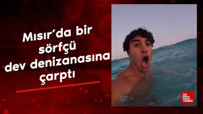 Mısır'da bir sörfçü dev denizanasına çarptı