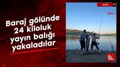 Bursa'da baraj gölünde 24 kiloluk yayın balığı yakaladılar