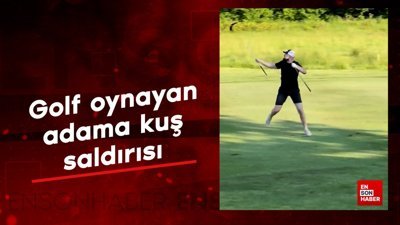 Golf oynayan adama kuş saldırısı