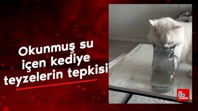 Okunmuş su içen kediye mevlitteki teyzelerin tepkisi