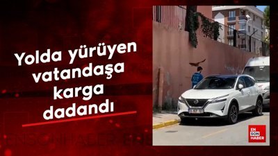 Yolda yürüyen vatandaşlara karga dadandı