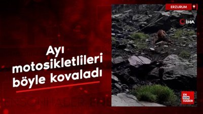 Erzurum'da ayı motosikletli vatandaşları böyle kovaladı