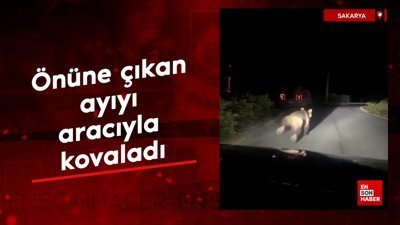 Sakarya'da önüne çıkan ayıyı aracıyla kovalayan çiftçi kamuoyundan özür diledi