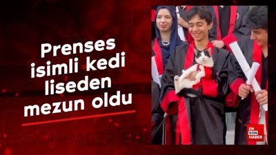 Prenses isimli kedi liseden mezun oldu