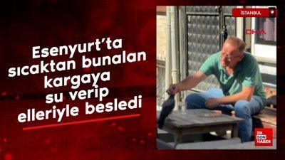 Esenyurt'ta sıcaktan bunalan kargaya su verip elleriyle besledi