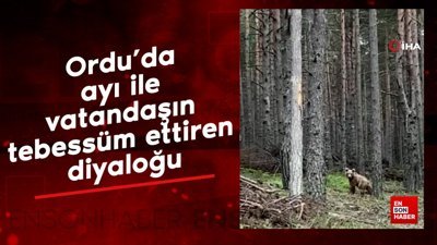 Ordu’da ayı ile vatandaşın tebessüm ettiren diyaloğu