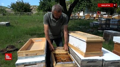 Malatyalı arıcılar hasat için gün sayıyor