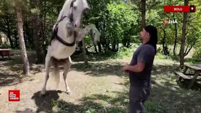 Bolu'da 'Allah' denilince şaha kalkan at