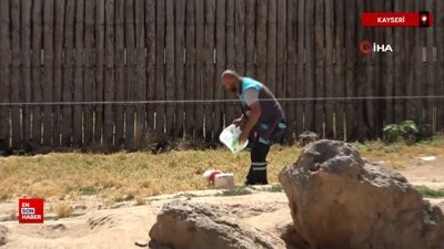 Kayseri'de ayılara buzlu kokteyl