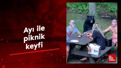 Ayı ile piknik keyfi