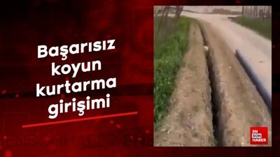 Başarısız koyun kurtarma girişimi