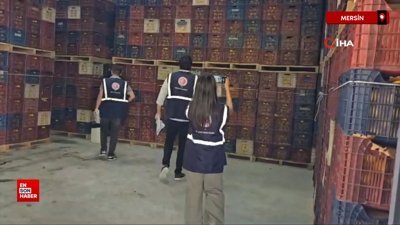 Mersin'de iki depoda kayıt dışı 380 ton limon tespit edildi