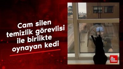 Cam silen temizlik görevlisi ile oynayan kedi