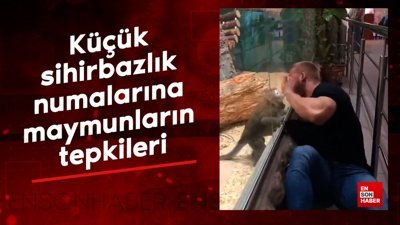 Küçük sihirbazlık numalarına maymunların tepkileri