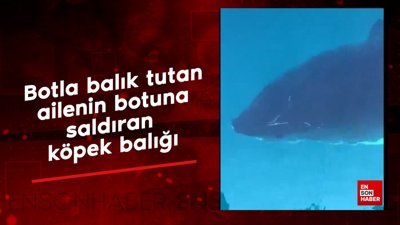 Botla balık tutan ailenin botuna saldıran köpek balığı