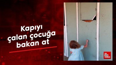 Kapıyı çalan çocuğa bakan at