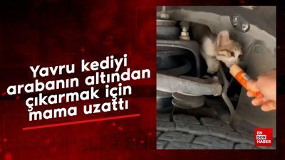 Yavru kediyi arabanın altından çıkarmak için mama uzattı