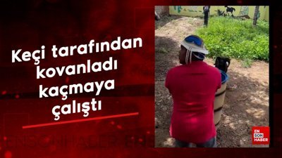 Keçi tarafından kovanladı kaçmaya  çalıştı