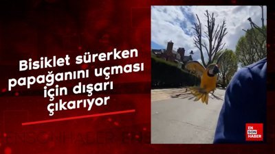 Bisiklet sürerken papağanını uçması için dışarı çıkarıyor