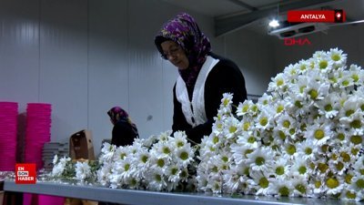 Antalya'da hedefin yarıdan fazlası gerçekleşti