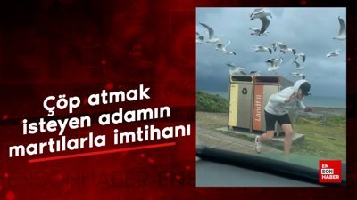 Çöp atmak isteyen adamın martılarla imtihanı