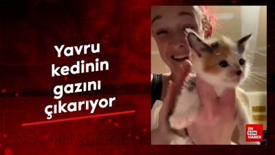 Yavru kedinin gazını çıkarıyor