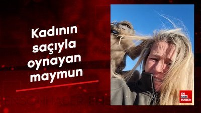 Kadının saçıyla oynayan maymun