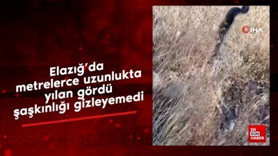 Elazığ'da metrelerce uzunlukta yılan gördü şaşkınlığını gizleyemedi