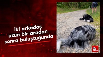 İki arkadaş uzun bir aradan sonra buluştuğunda