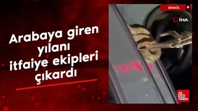 Bingöl'de arabaya giren yılanı itfaiye ekipleri çıkardı