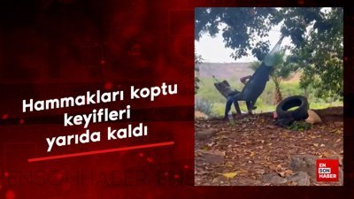 Hammakları koptu, keyifleri yarım kaldı