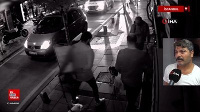 Kağıthane'de köpeklere saldıran 'Gri Aslan' lakaplı kedi