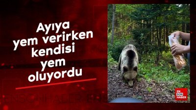 Ayıya yem verirken kendisi yem oluyordu