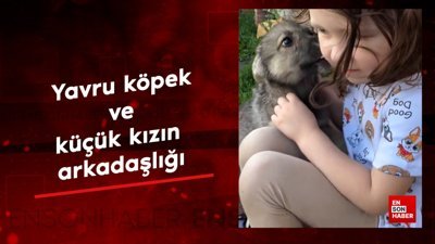 Yavru köpek ve küçük kızın arkadaşlığı