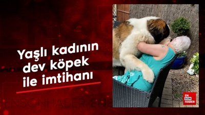 Yaşlı kadının dev köpek ile imtihanı