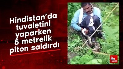 Hindistan'da tuvaletini yaparken 5 metrelik piton saldırdı
