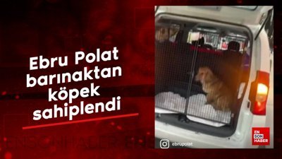 Ebru Polat barınaktan köpek sahiplendi