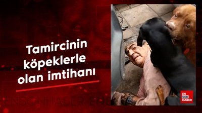 Tamircinin köpeklerle olan imtihanı