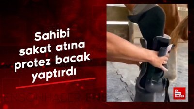 Sahibi, sakatlanan atına protez bacak yaptırdı