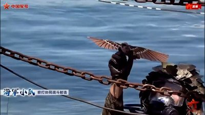 Çin kuş şeklinde keşif İHA'ları geliştiriyor