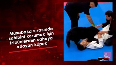 Müsabaka sırasında sahibini korumak için tribünlerden sahaya atlayan köpek