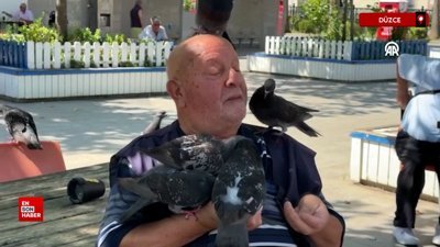 Düzce'de Necmi dedenin köyden şehre güvercin besleme mesaisi