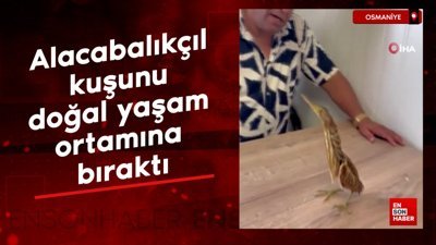 Osmaniye’de Alacabalıkçıl kuşunu doğal yaşam ortamına bıraktı