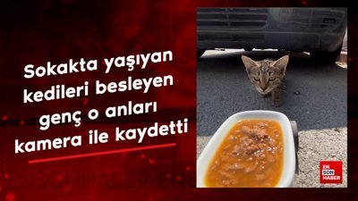 Sokak kedilerini besleyen genç aracına koyduğu kamera ile o anları kaydetti