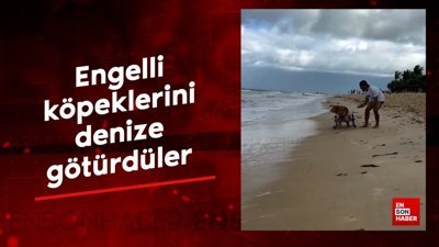 Engelli köpeklerini denize götürdüler